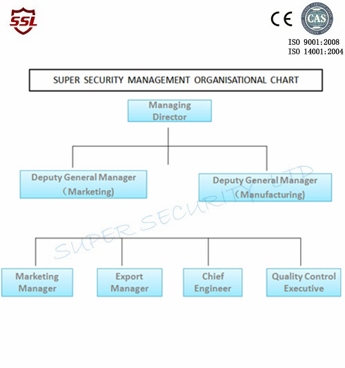 China SUPER SECURITY LTD company profile 0