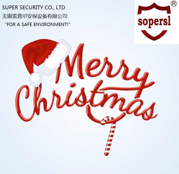 latest company news about We Wish You a Merry Christmas and Happy New Year!  0