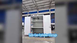 Single Cylinder Gas Storage Cabinet