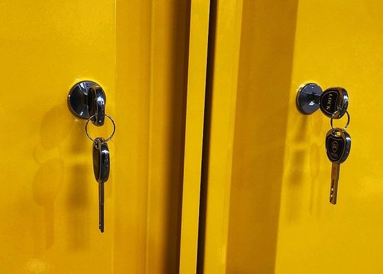 Buy Chemical Storage Cabinet with 109x46x123CM, 109x46x165CM, and 109x86x165CM Sizes for Hazardous Material Storage online manufacture