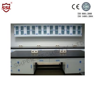 Buy Ploypropylene Anti-Acid Corrosive Storage Cabinet Wall Bench Laboratory Table Work Bench online manufacture