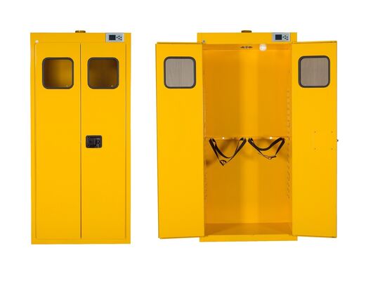 Buy Gas Cylinder Storage Cabinet 75 mm 1-4 Cylinders online manufacture