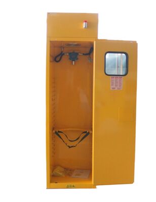 Buy Laboratories Single Cylinder Gas Storage Cabinet Practical Solution For Controlled Gas Handling online manufacture